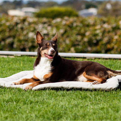 Snooza Roll & Go Outdoor Dog Mat - DOGUE