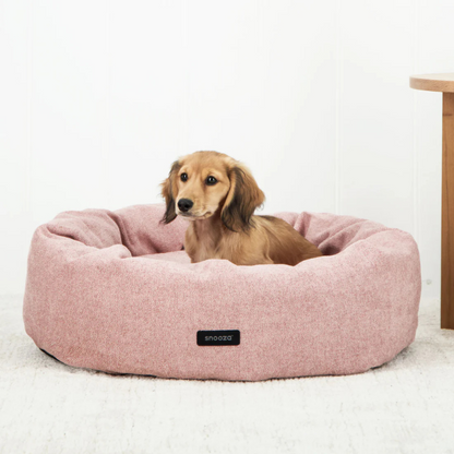 Snooza Springtime Cuddler Dog Bed