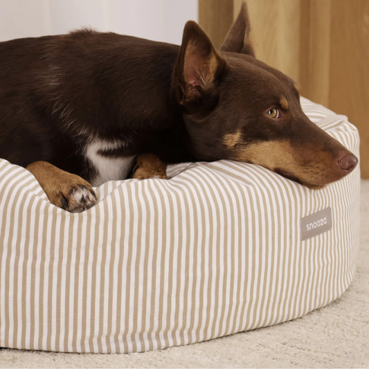 Snooza Summer Stripe Cuddler Dog Bed - DOGUE