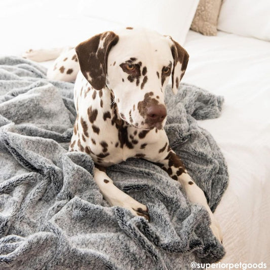 Calming Water Resistant Dog Blanket Artic Faux Fur - DOGUE