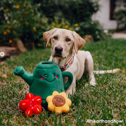 ZippyPaws Burrow Watering Can and Flowers Dog Toy - DOGUE