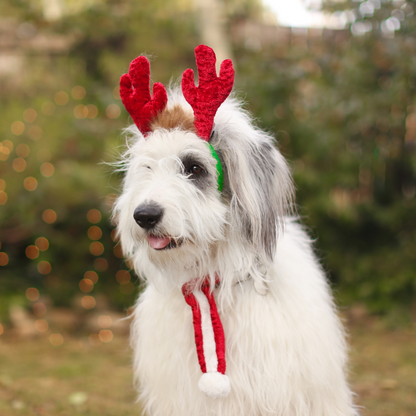 ZippyPaws Holiday Antlers Headband Dog Costume - DOGUE