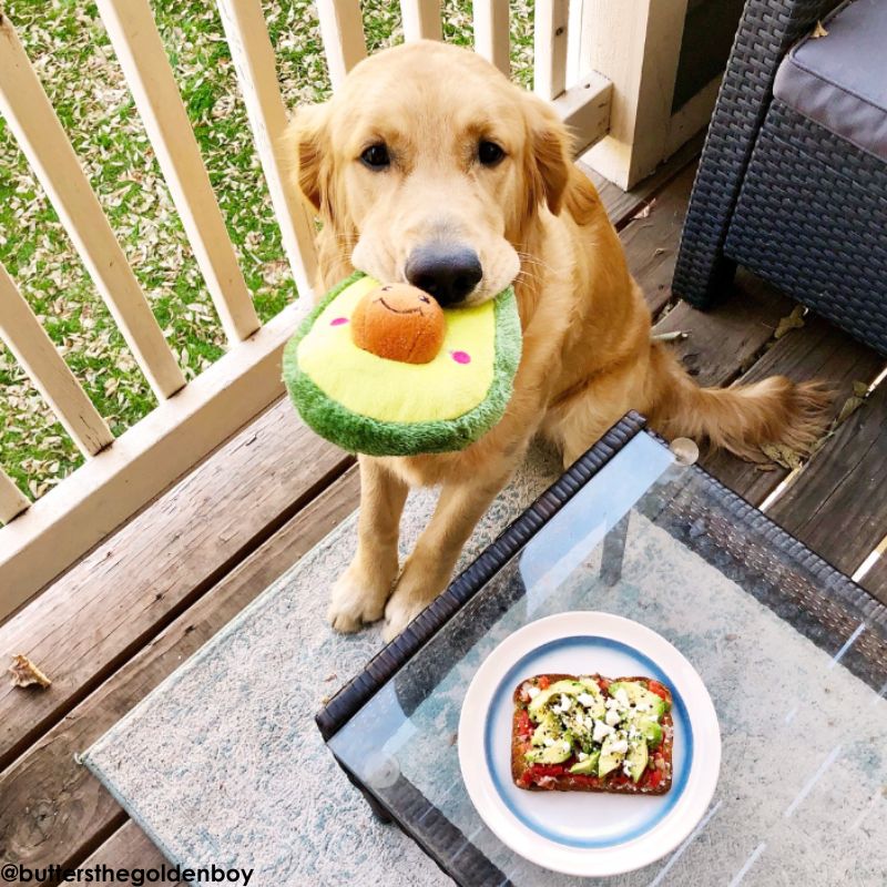 ZippyPaws NomNomz Avocado Dog Toy - DOGUE