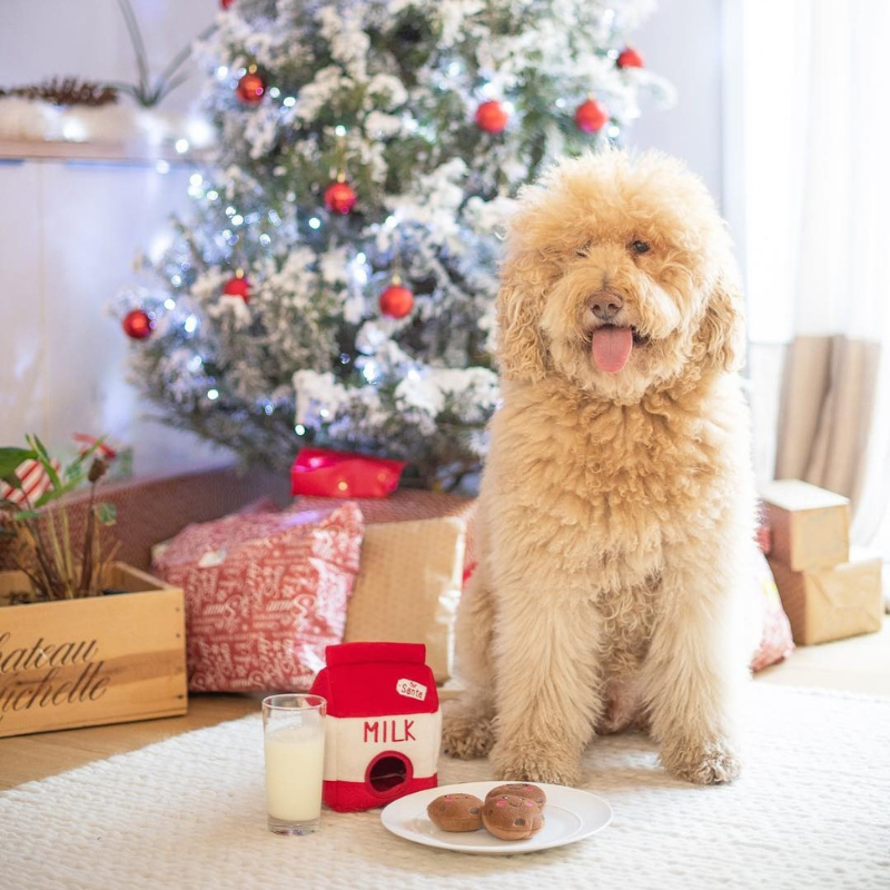 ZippyPaws Burrow Santa's Milk & Cookies Holiday Dog Toy