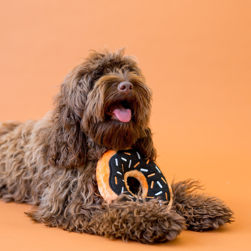 ZippyPaws Donutz Squeaker Pumpkin Spice Dog Toy - DOGUE