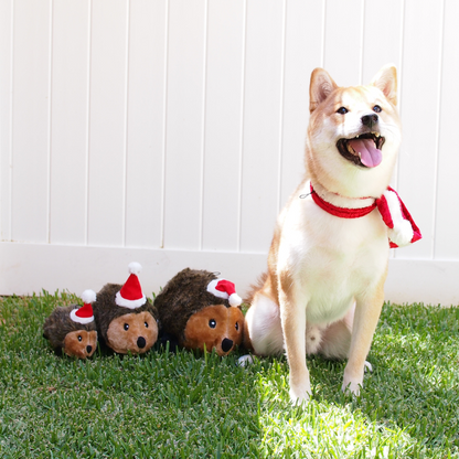 ZippyPaws Hedgehog Holiday Dog Toy