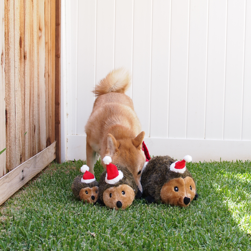 ZippyPaws Hedgehog Holiday Dog Toy