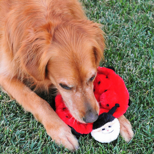 ZippyPaws Squeakie Crawler Dog Toy Betsy the Ladybug - DOGUE