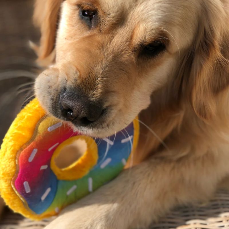 ZippyPaws Rainbow Donutz Dog Toy - DOGUE