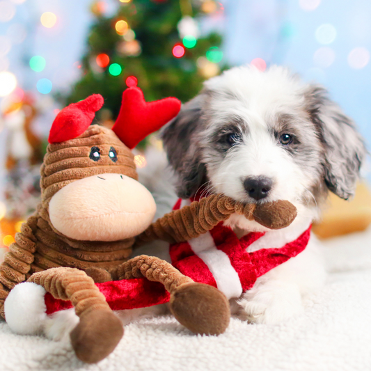 ZippyPaws Holiday Crinkle Reindeer Dog Toy - DOGUE