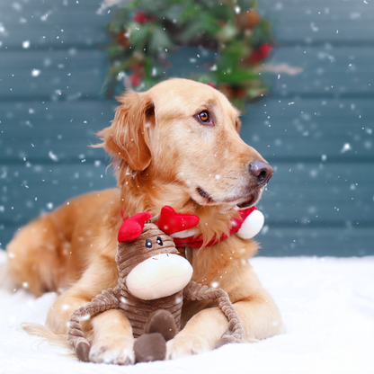 ZippyPaws Holiday Crinkle Reindeer Dog Toy