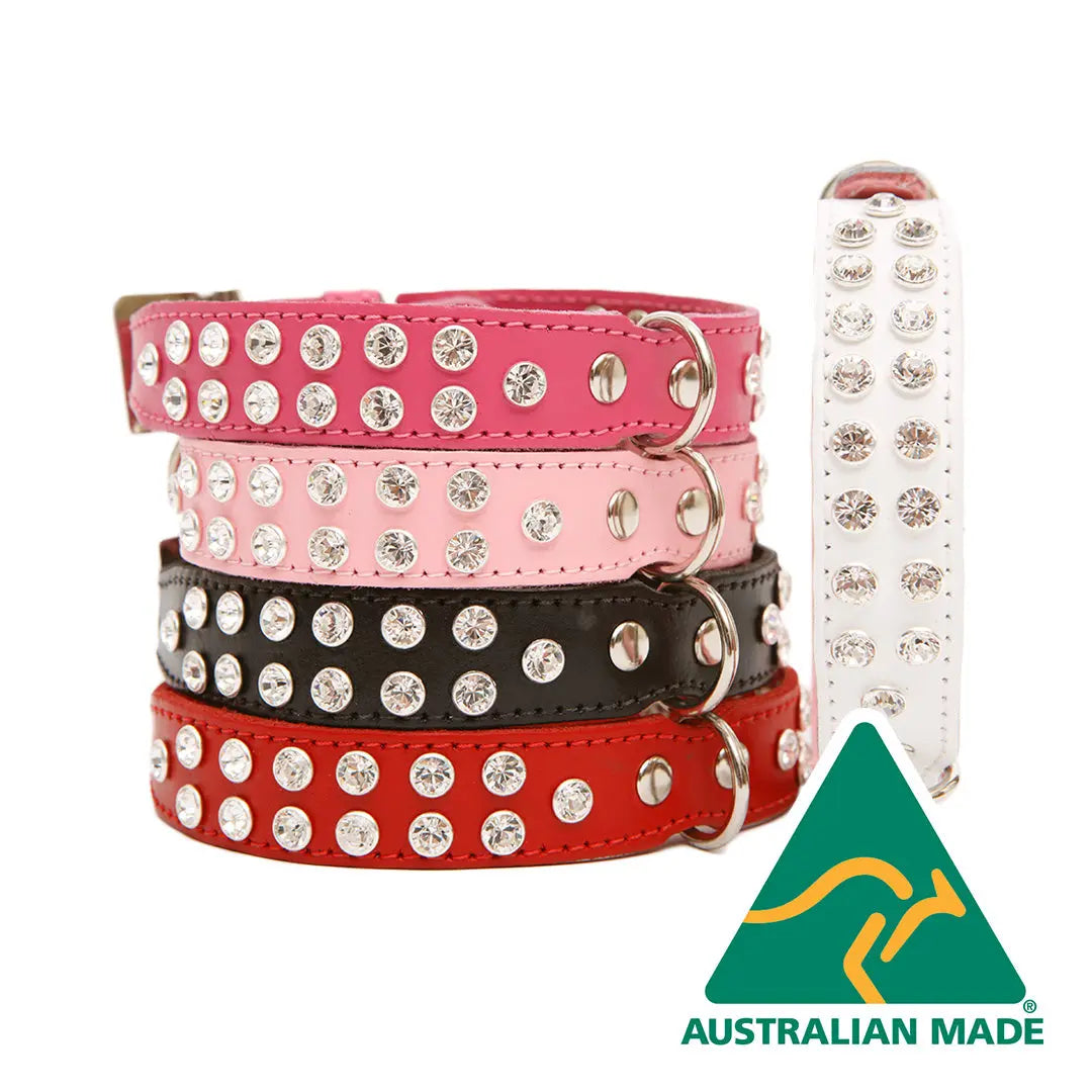 dogue-leather-too-glamorous-dog-collar