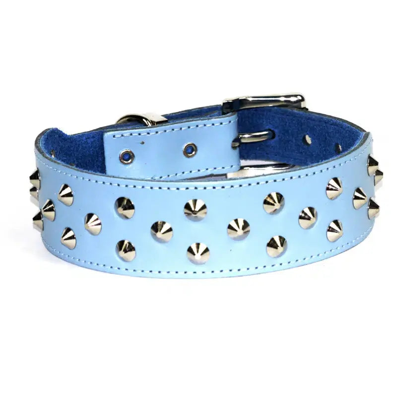 Blue studded shop dog collar