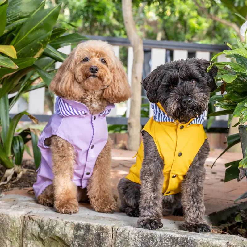 DOGUE Essential Dog Raincoat