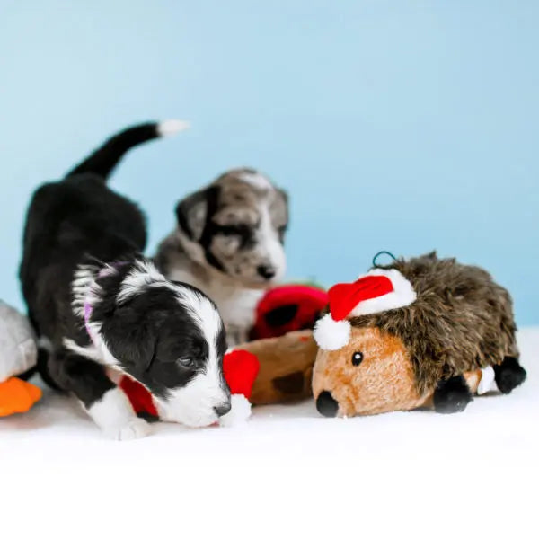 ZippyPaws | Holiday | Hedgehog | Buy Online at DOGUE Australia