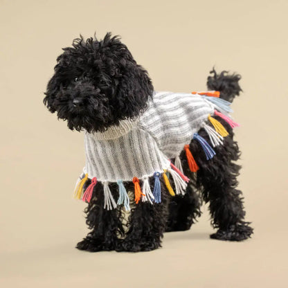 Dog 2024 poncho sweater